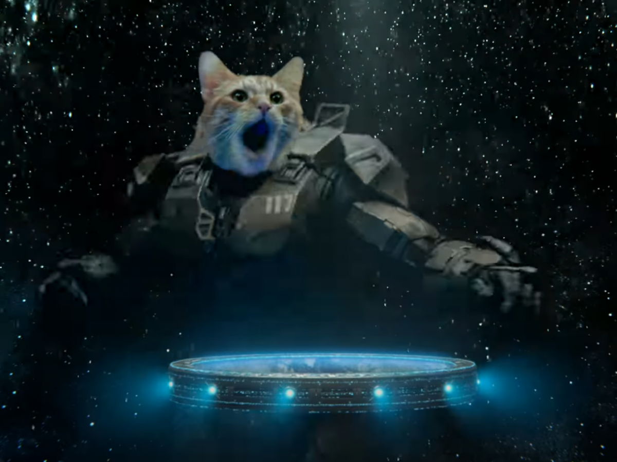 Taiki Waititi’s Xbox film contains Master Chief as a DJ cat | Esquire ...