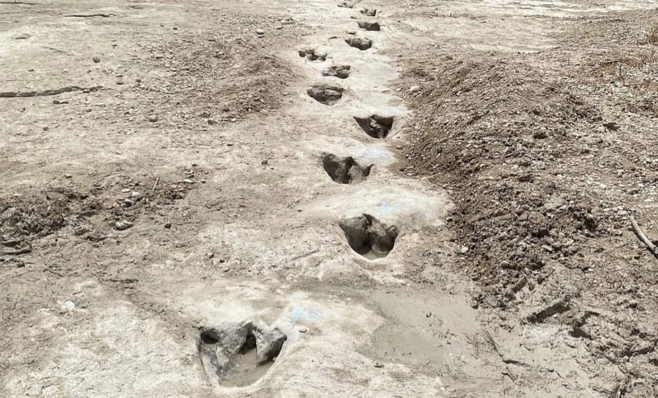 Drought unearths 113-million-year-old Dinosaur tracks in a Texas river ...