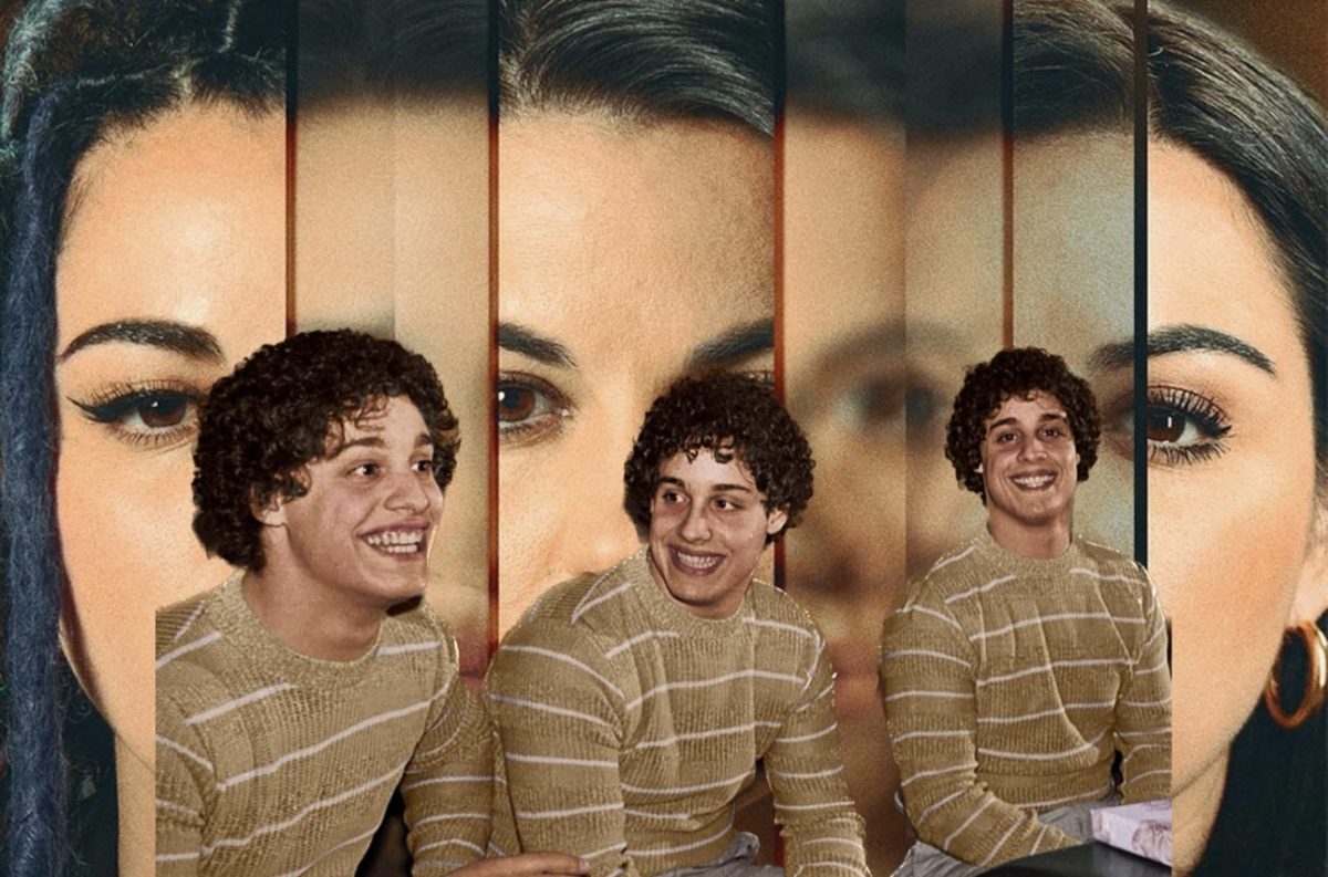 Three Identical Strangers The true story behind Netflix's Triptych
