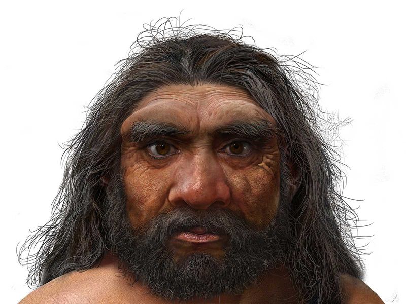 Scientists discover skull of a lost species of human—the Dragon Man